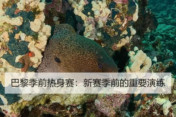 巴黎季前热身赛：新赛季前的重要演练